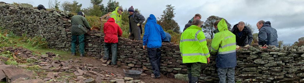 Wal Cerrig Sych - Cymru