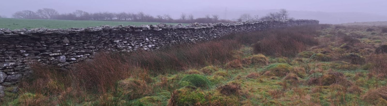 The inaugural Gwrhyd dry stone walling competition of 2024